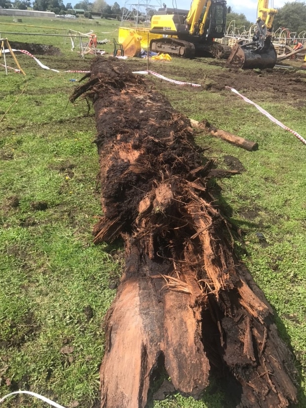 VNZG7TV55JBJHPTHJ6DFDUF4AU