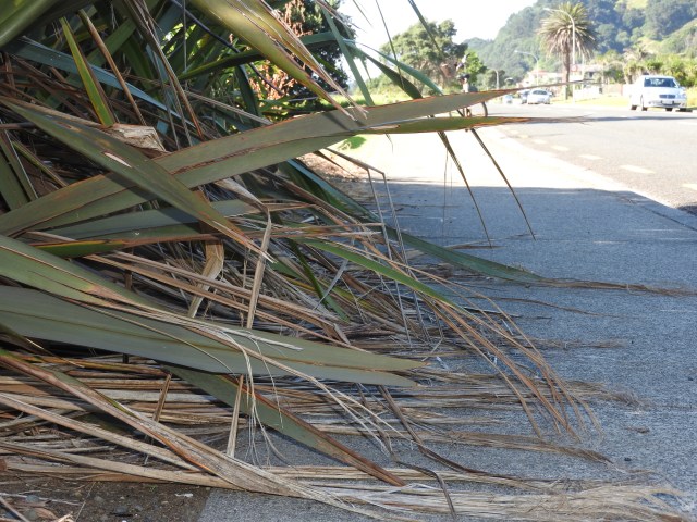 When flax becomes a trip wire